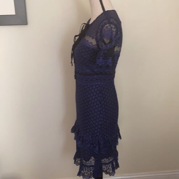 NWT Parker Ultraviolet Ruffle Lace Dress Size XS - Picture 10 of 14